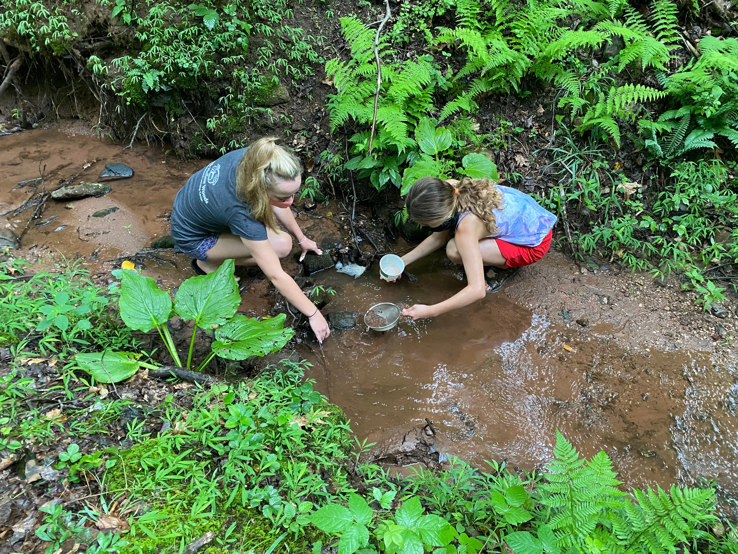 Statement in Color Spectrum Clone 3